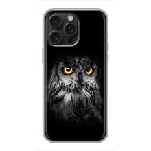 Чохли з принтом СОВИ для iPhone 16 Pro Max – Сова на чорному