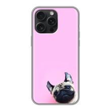 Бампер для iPhone 16 Pro Max с картинкой "Песики" – Собака на розовом