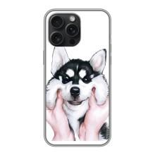 Бампер для iPhone 16 Pro Max с картинкой "Песики" – Собака Хаски
