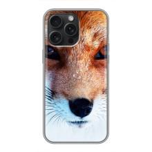 Чехол с Лисичкой для iPhone 16 Pro Max – Рыжая Лисичка
