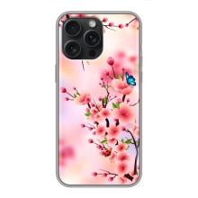 Чохол з картинкою Сакури на iPhone 16 Pro Max – Метелики на сакурі