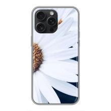 Чехол с ромашками на iPhone 16 Pro Max – Пол ромашки