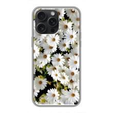 Чехол с ромашками на iPhone 16 Pro Max – Рамка в ромашках