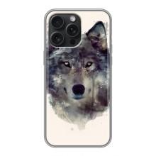 Чохол з Вовком на iPhone 16 Pro Max – Вовк