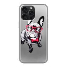 Чехол (ТПУ) Милые собачки для iPhone 16 Pro Max – Бульдог в очках