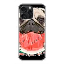 Чехол (ТПУ) Милые собачки для iPhone 16 Pro Max – Смешной Мопс