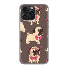Чехол (ТПУ) Милые собачки для iPhone 16 Pro Max – Собачки Мопсики