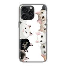 Силиконовый чехол с котиком для iPhone 16 Pro Max – Коты
