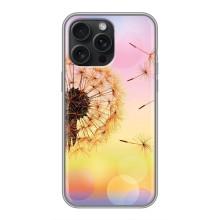 Силиконовый Чехол с одуванчиками на iPhone 16 Pro Max – Цветок-одуванчик