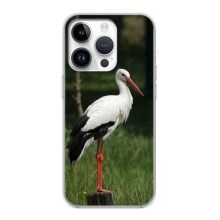 Силиконовый чехол с птичкой на iPhone 16 Pro Max (Лелека)