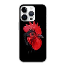 Силиконовый чехол с птичкой на iPhone 16 Pro Max – Петушок