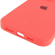 Чохол Silicone Case Full Protective (AA) для Apple iPhone 16 Pro (6.3") – Кавуновий