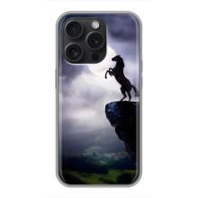 Чехлы с изображением разных животных для iPhone 16 Pro (Лошадь)