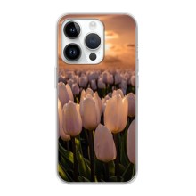 Чехлы с картинкой (Тюльпаны) на Айфон 16 Про (Закат с цветами)