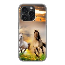 Чехлы с Лошадью дляiPhone 16 Pro (VPrint) (Лошадки)