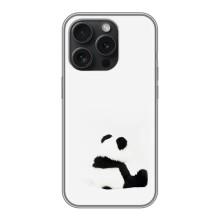 Чехлы с Пандами на iPhone 16 Pro – Панда обиделся