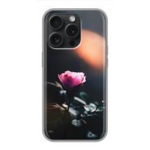 Чехлы с принтом Розочки для iPhone 16 Pro – Цветок ночной