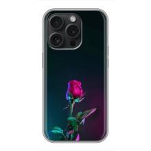 Чехлы с принтом Розочки для iPhone 16 Pro – Ночная роза