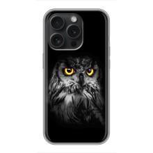 Чохли з принтом СОВИ для iPhone 16 Pro – Сова на чорному