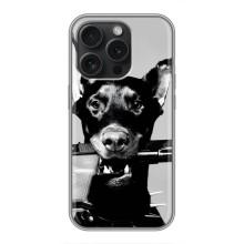 Чехол ДОБЕРМАН для iPhone 16 Pro – Опасный доберман