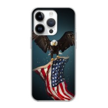 Чехол Флаг USA для iPhone 16 Pro (Орел и флаг)