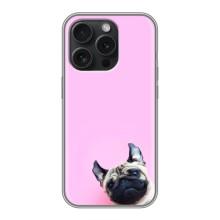 Бампер для iPhone 16 Pro с картинкой "Песики" – Собака на розовом