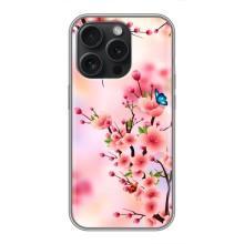 Чехол с принтом САКУРЫ на iPhone 16 Pro – Бабочки на сакуре