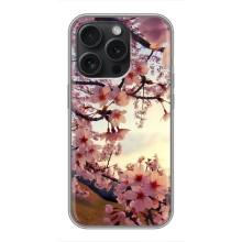 Чехол с принтом САКУРЫ на iPhone 16 Pro – Цветущая сакура