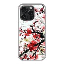 Чехол с принтом САКУРЫ на iPhone 16 Pro – Красивая Сакура
