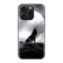 Чехол с Волком на iPhone 16 Pro – Волк и луна