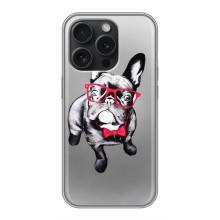 Чехол (ТПУ) Милые собачки для iPhone 16 Pro – Бульдог в очках