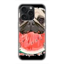 Чехол (ТПУ) Милые собачки для iPhone 16 Pro – Смешной Мопс