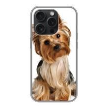 Чехол (ТПУ) Милые собачки для iPhone 16 Pro – Собака Терьер