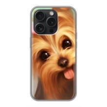 Чехол (ТПУ) Милые собачки для iPhone 16 Pro – Йоршенский терьер