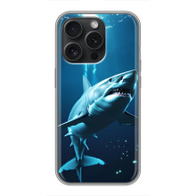 Чохол з картинкою 'Хижаки' для iPhone 16 Pro (Акула)