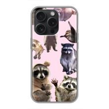 Силиконовый Чехол с Енотами на iPhone 16 Pro – Смешные Еноты