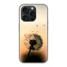 Силиконовый Чехол с одуванчиками на iPhone 16 Pro – Роздумаханый одуванчик
