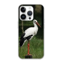 Силіконовий бампер з птичкою на iPhone 16 Pro – Лелека