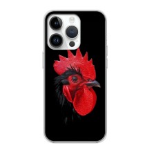 Силиконовый чехол с птичкой на iPhone 16 Pro (Петушок)