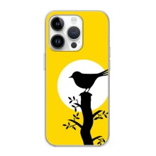 Силиконовый чехол с птичкой на iPhone 16 Pro (Птичка)