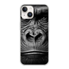 Чехлы с Горилой на Айфон 15 Плюс (Черная обезьяна)