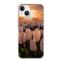 Чехлы с картинкой (Тюльпаны) на Айфон 15 Плюс – Закат с цветами