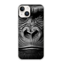 Чехлы с Горилой на Айфон 16 (Черная обезьяна)