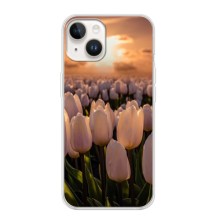 Чехлы с картинкой (Тюльпаны) на Айфон 16 (Закат с цветами)