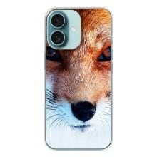 Чехол с Лисичкой для iPhone 16 – Рыжая Лисичка