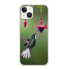 Силиконовый чехол с птичкой на iPhone 16 (Калибри)