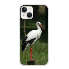 Силіконовий бампер з птичкою на iPhone 16 – Лелека