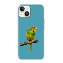 Силиконовый чехол с птичкой на iPhone 16 (Попугайчик)