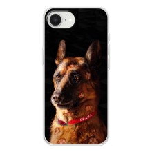 Чехлы с картинками животных iPhone 16е (Овчарка)