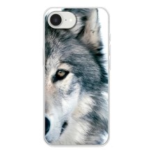 Чехлы с картинками животных iPhone 16е (Волк)